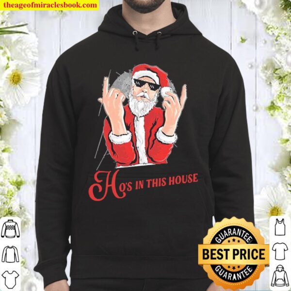 there_s some hoes in this house christmas Hoodie
