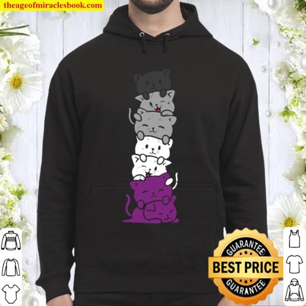 Cat Stack Asexual Pride Cute Ace Flag Animal Pet Lover Gift Hoodie