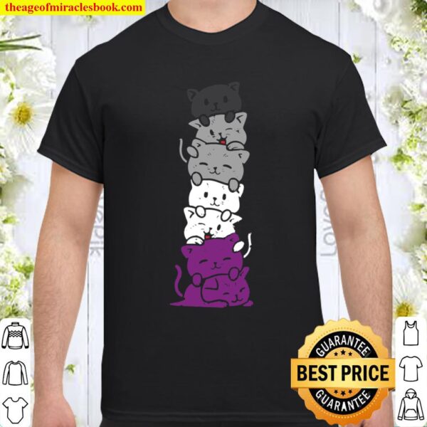 Cat Stack Asexual Pride Cute Ace Flag Animal Pet Lover Gift Shirt