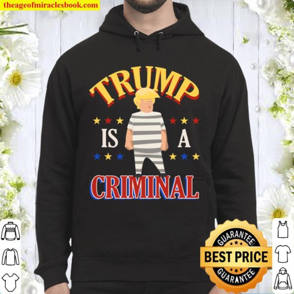 FamWix Trump is a Criminal Funny Political T-Shirt - Dump Trump Democr Hoodie