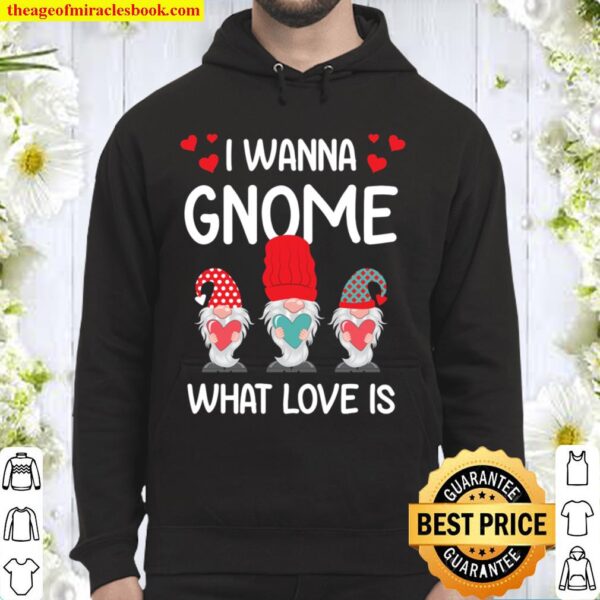 Valentine Humor His and Her Gift I Want Gnome What Love Is Hoodie