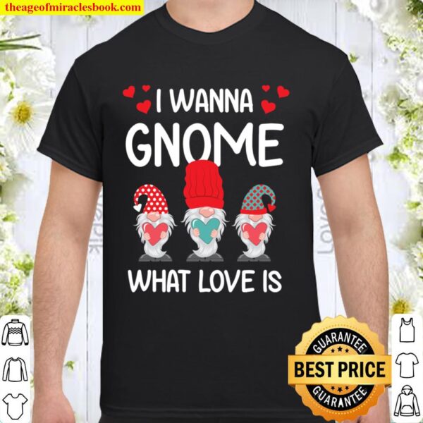 Valentine Humor His and Her Gift I Want Gnome What Love Is Shirt