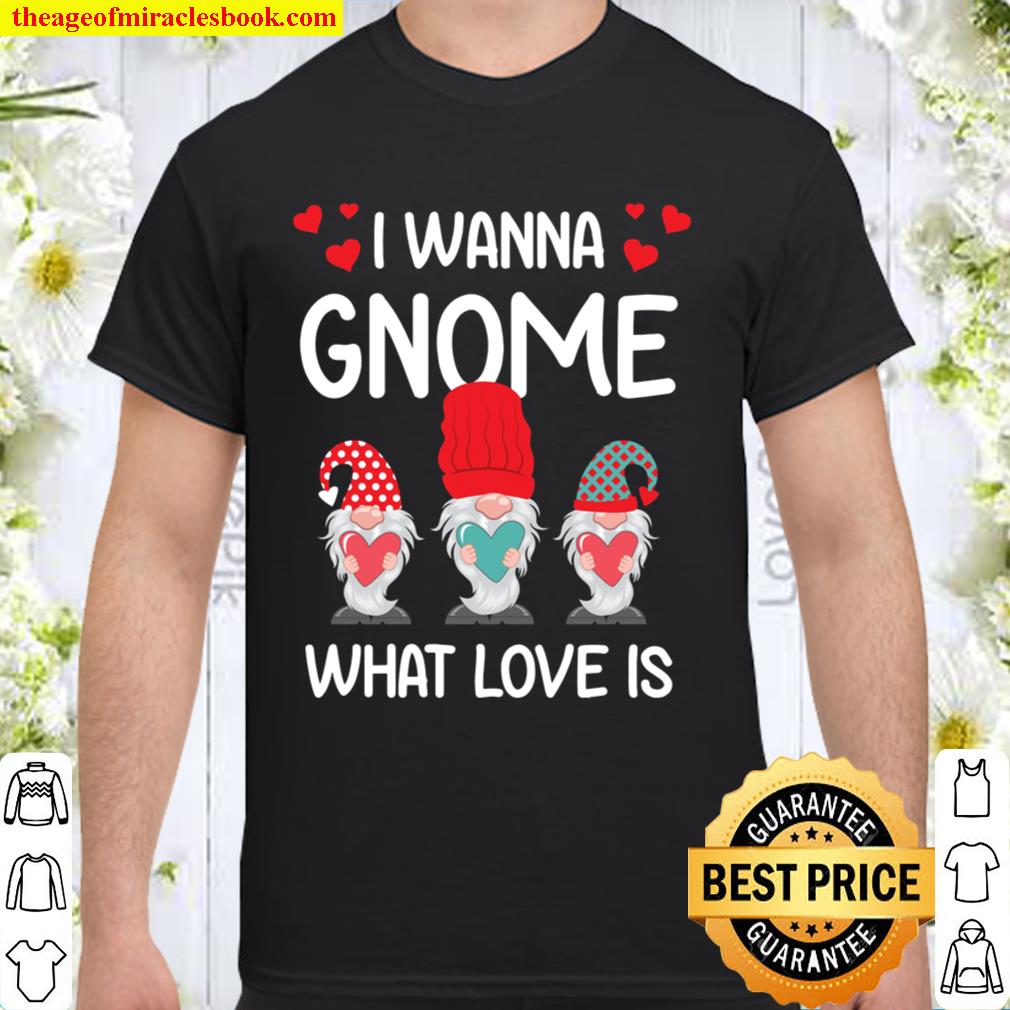 Valentine Humor His and Her Gift I Want Gnome What Love Is limited Shirt, Hoodie, Long Sleeved, SweatShirt