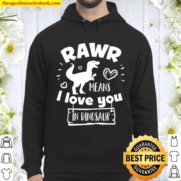 Valentine’s Day T-Rex Rawr Means I Love You In Dinosaur Gift Hoodie