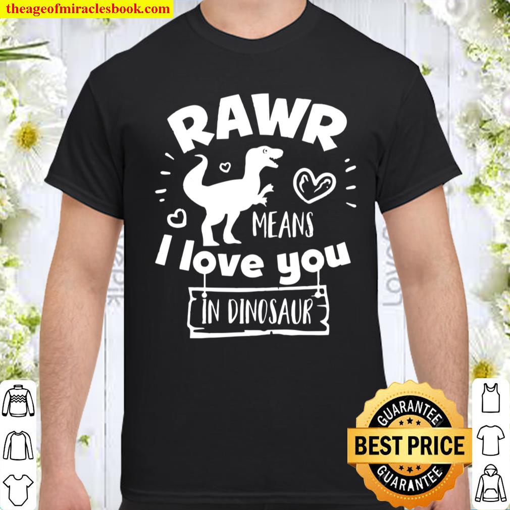 Valentine’s Day T-Rex Rawr Means I Love You In Dinosaur Gift shirt