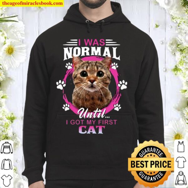 I Was Normal Until I Got My First Cat Hoodie