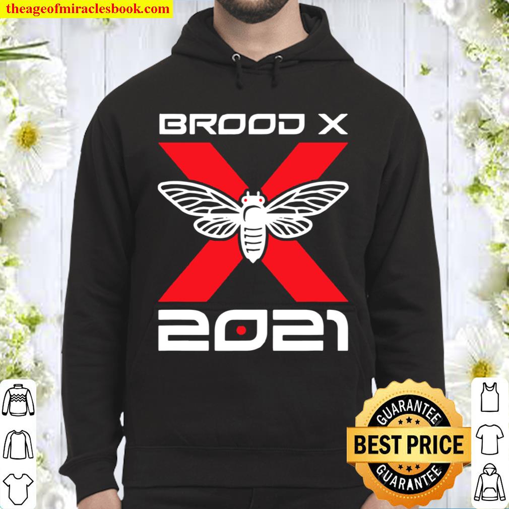 Cicada Brood X 2021 Reemergence Theme Minimalist Hoodie