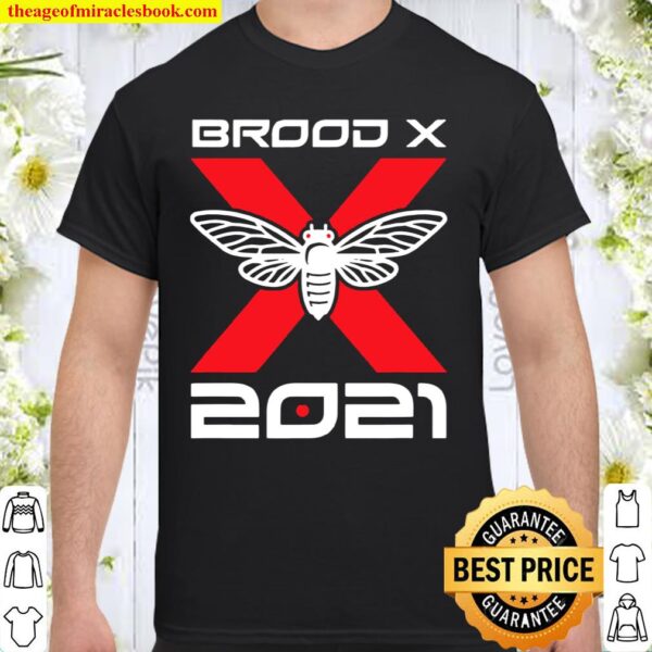 Cicada Brood X 2021 Reemergence Theme Minimalist Shirt