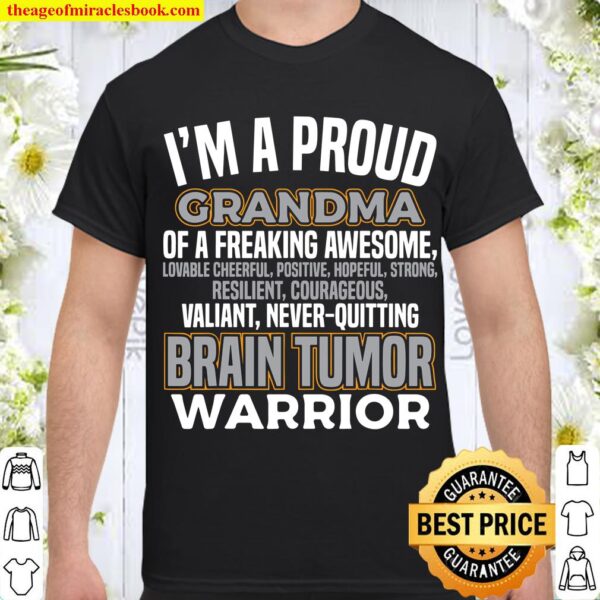 Grandma Warrior Brain Tumor Awareness Gray Ribbon Women Shirt