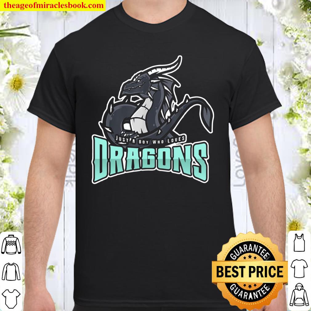 Just A Boy Who Loves Dragons Shirt, hoodie, tank top, sweater