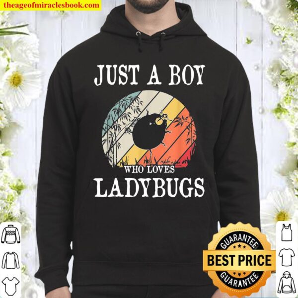 Just A Boy Who Loves Ladybugs Hoodie