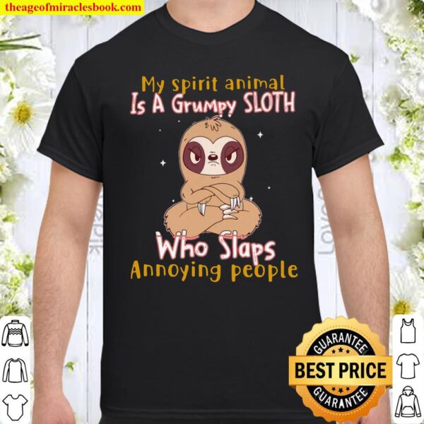 My Spirit Animal Is A Grumpy Sloth Who Slap Annoying People Shirt