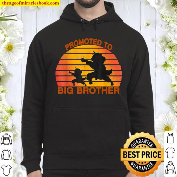 Promoted To Big Brother 2021 Leveled up to Big Brother Again Hoodie
