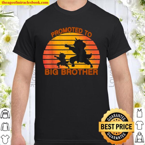 Promoted To Big Brother 2021 Leveled up to Big Brother Again Shirt
