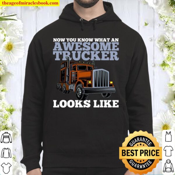 Trucker Truck Awesome Vintage Hoodie