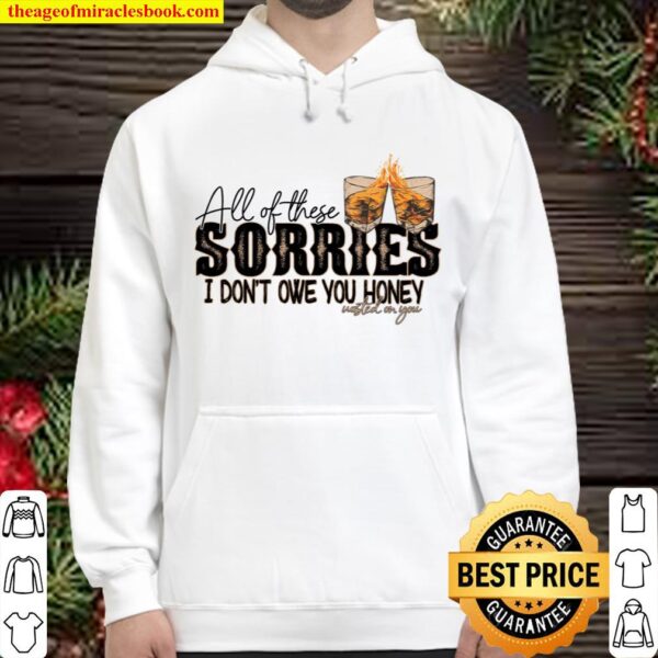 All Of These Sorries I Don’t Owe You Honey Wasted On You Hoodie
