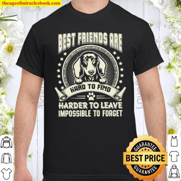 Best Friends Are Hard To Find Harder To Leave Impossible To Forget Shirt