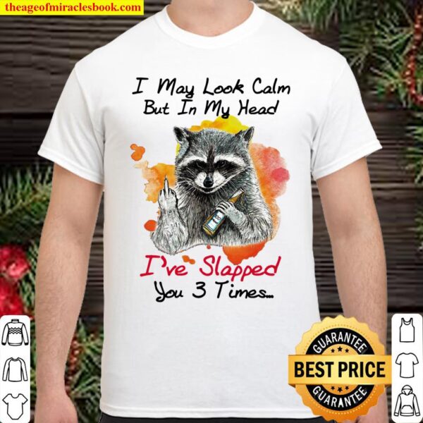 Funny Raccoon I May Look Calm But In My Head I’ve Slapped You 3 Times Shirt