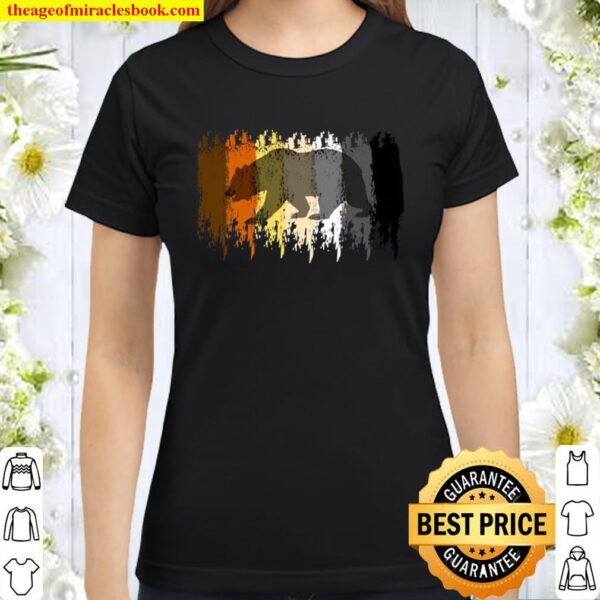 Gay Bear Pride Cool Grunge Bear Flag Colors Classic Women T-Shirt