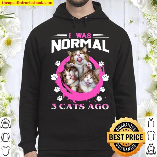 I Was Normal 3 Cats Ago Hoodie