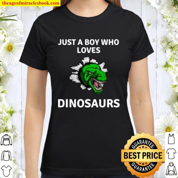 Trex Dino Design Just A Boy Who Loves Dinosaur T Rex Classic Women T-Shirt