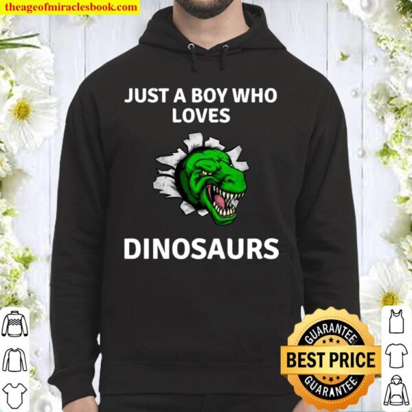 Trex Dino Design Just A Boy Who Loves Dinosaur T Rex Hoodie
