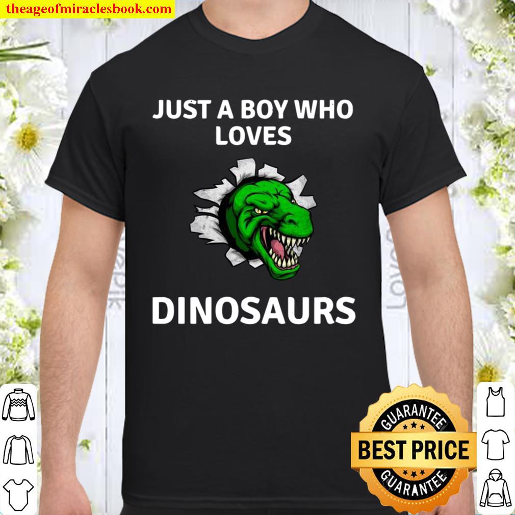 Trex Dino Design Just A Boy Who Loves Dinosaur T Rex Shirt