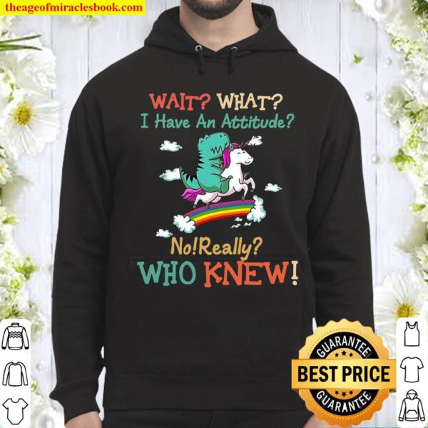 Wait what i have an attitude no really who knew Hoodie