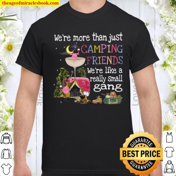 We’re More Than Just Camping Friends We’re Like A Really Small Gang Shirt