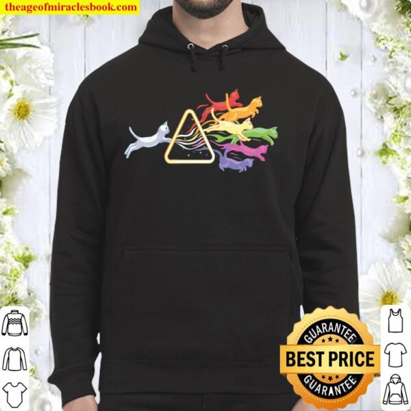 Cat Prism Rainbow Light Funny Physics Science Spectral Cat Hoodie