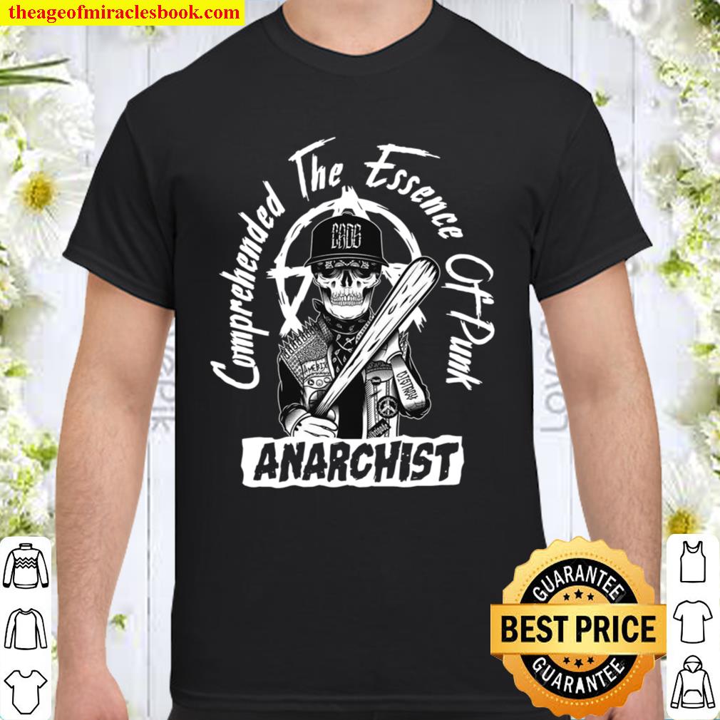 Comprehended The Essence Of Punk Anarchist Shirt
