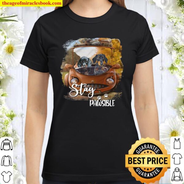 Dachshund Stay Pawsible Classic Women T-Shirt