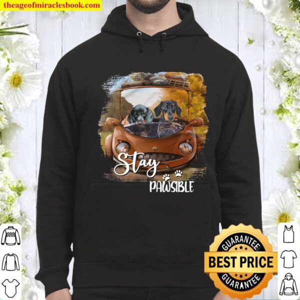 Dachshund Stay Pawsible Women Long Sleeved