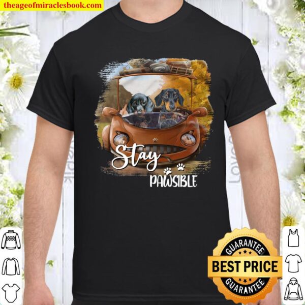 Dachshund Stay Pawsible Shirt