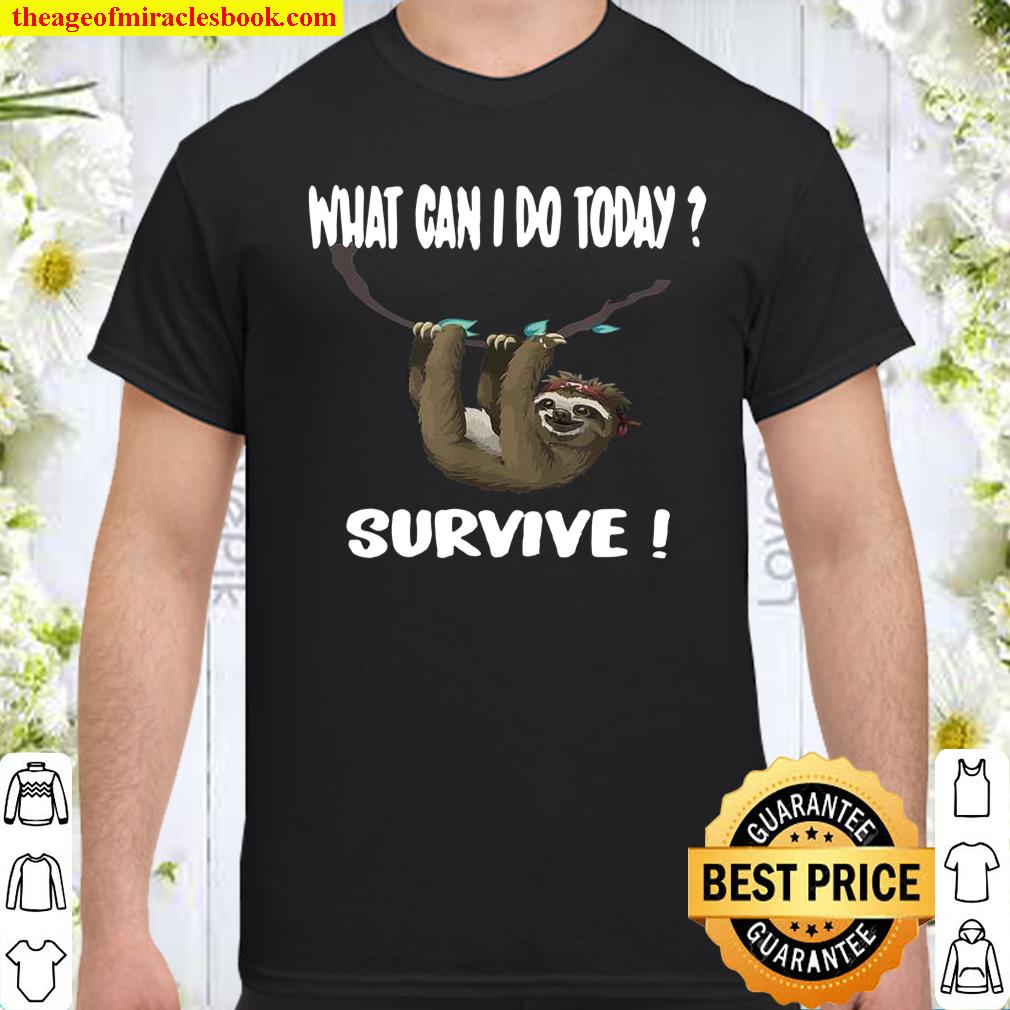 Funny sloth survive chiller relax shirt, hoodie, tank top, sweater