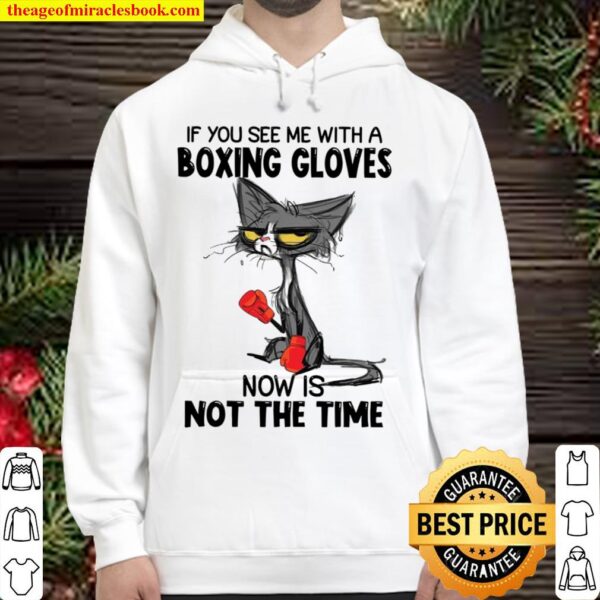 If You See Me With A Boxing Gloves Now Is Not The Time Hoodie