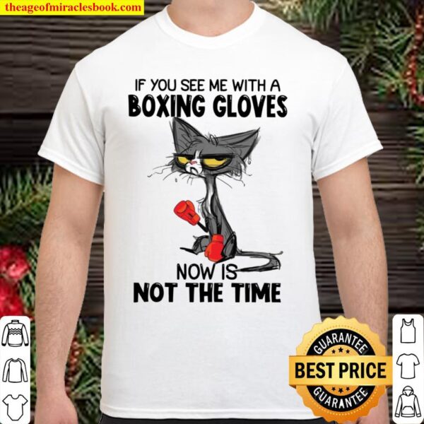 If You See Me With A Boxing Gloves Now Is Not The Time Shirt