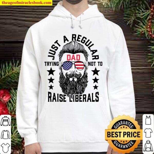 Just A Regular Dad Trying Not To Raise Liberals Hoodie