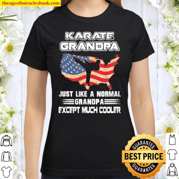Karate Grandpa Just Like A Normal Dad Except Much Cooler American Flag Classic Women T-Shirt