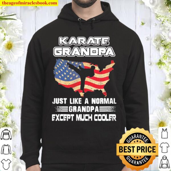 Karate Grandpa Just Like A Normal Dad Except Much Cooler American Flag Hoodie