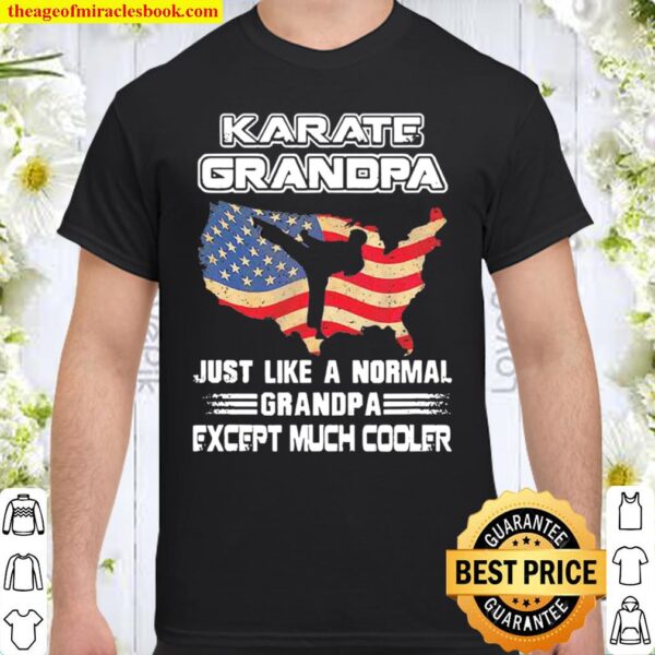 Karate Grandpa Just Like A Normal Dad Except Much Cooler American Flag Shirt