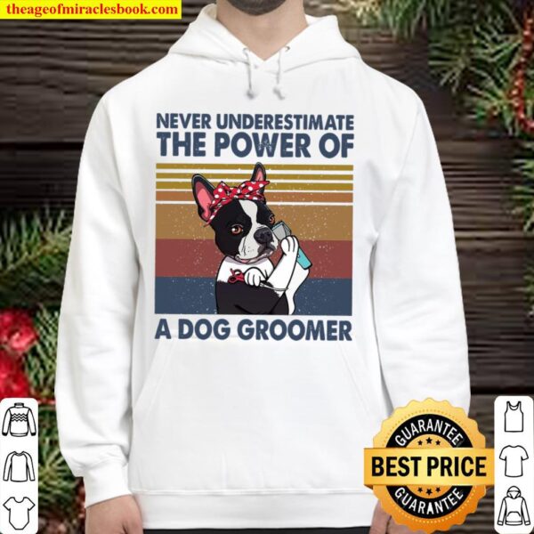 Never Underestimate The Power Of A Dog Groomer Hoodie