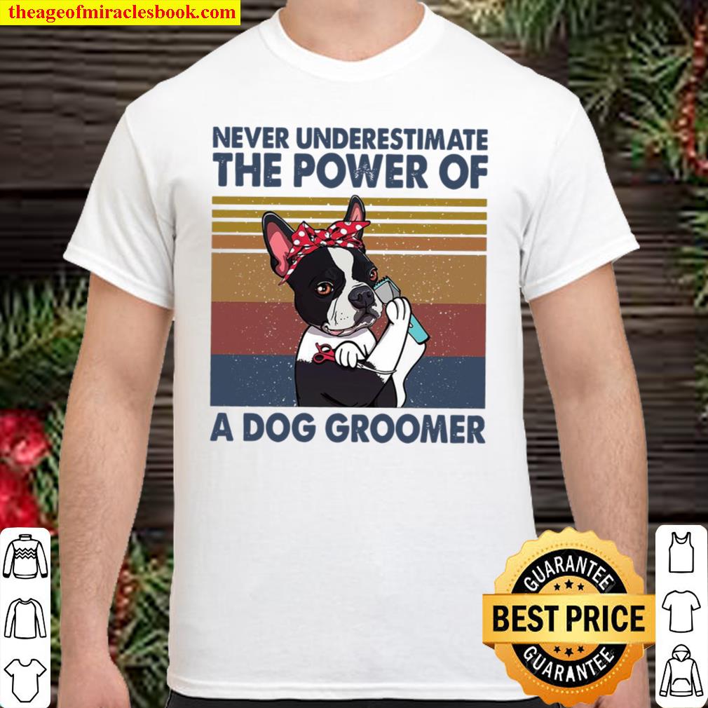 Never Underestimate The Power Of A Dog Groomer new Shirt, Hoodie, Long Sleeved, SweatShirt