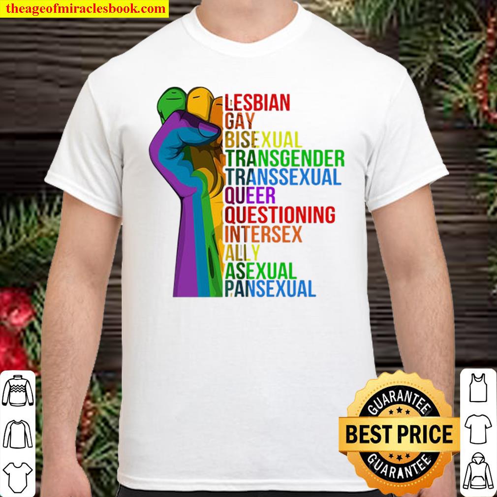 Rainbow Hand Fist Shirt, LGBT Quote, Bisexual Shirt, LGBT Rights, LGBT Flag  Pride, Lesbian new Shirt,