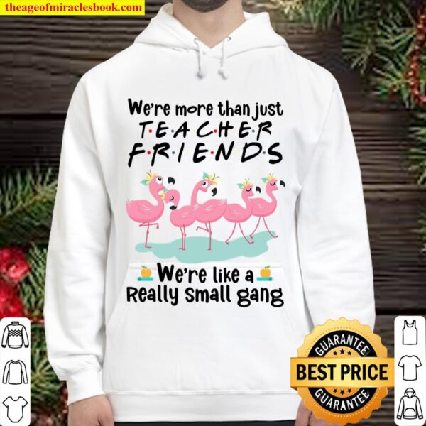 We’re More Than Just Teacher Friends We’re Like A Really Small Gang Hoodie