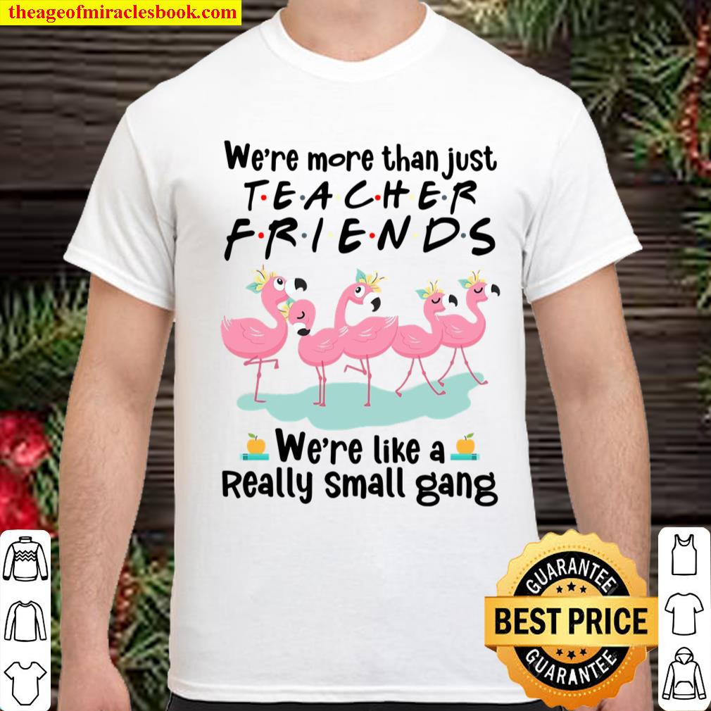We’re More Than Just Teacher Friends We’re Like A Really Small Gang shirt, hoodie, tank top, sweater
