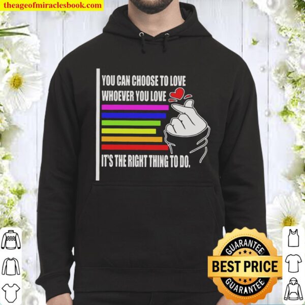 You can choose to love whoever you love it’s the right thing to do Hoodie