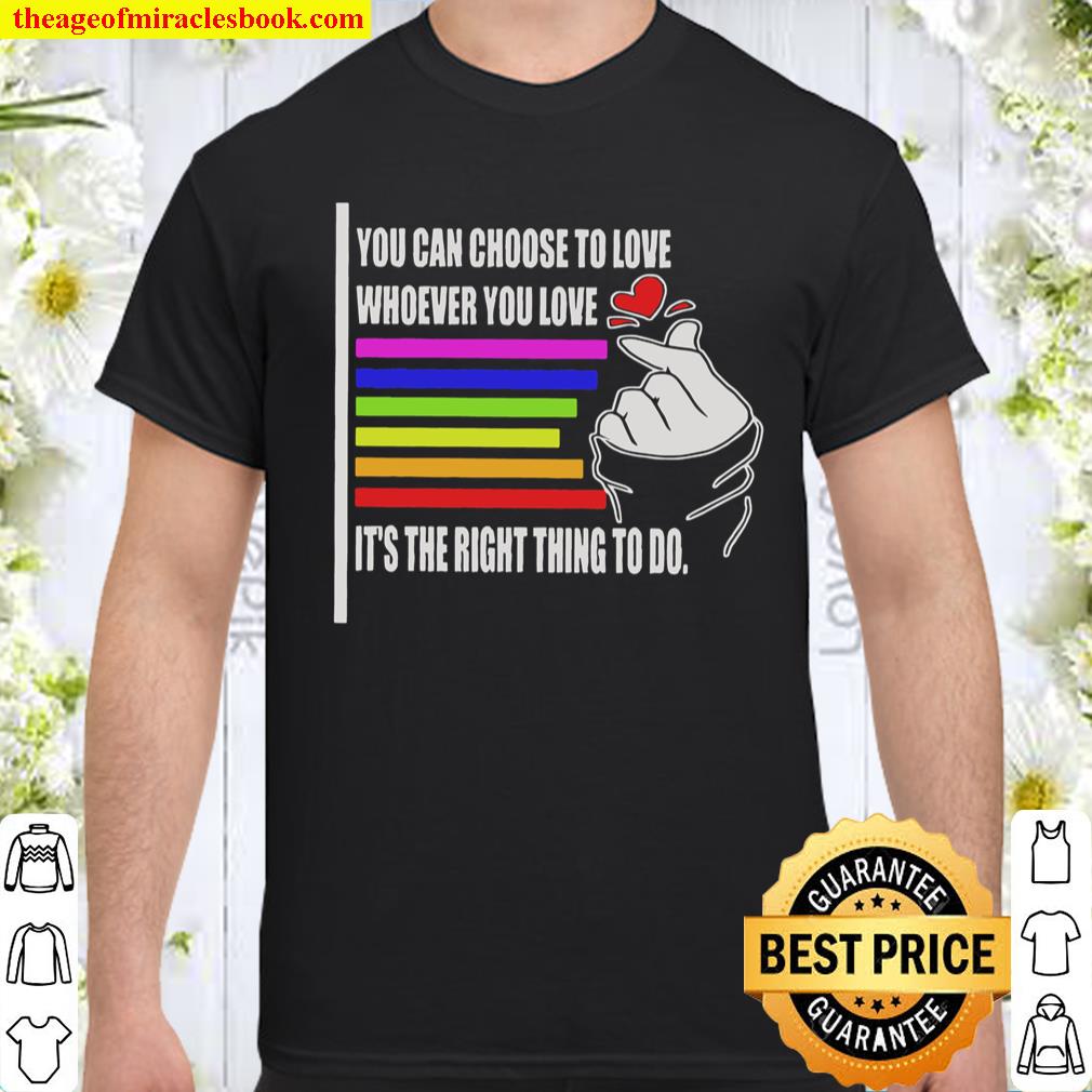 You can choose to love whoever you love it’s the right thing to do shirt, hoodie, tank top, sweater