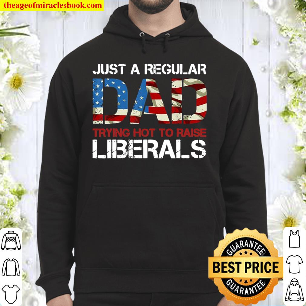 America Flag Just a Regular Dad Trying Not To Raise Liberals 4th of Ju Hoodie