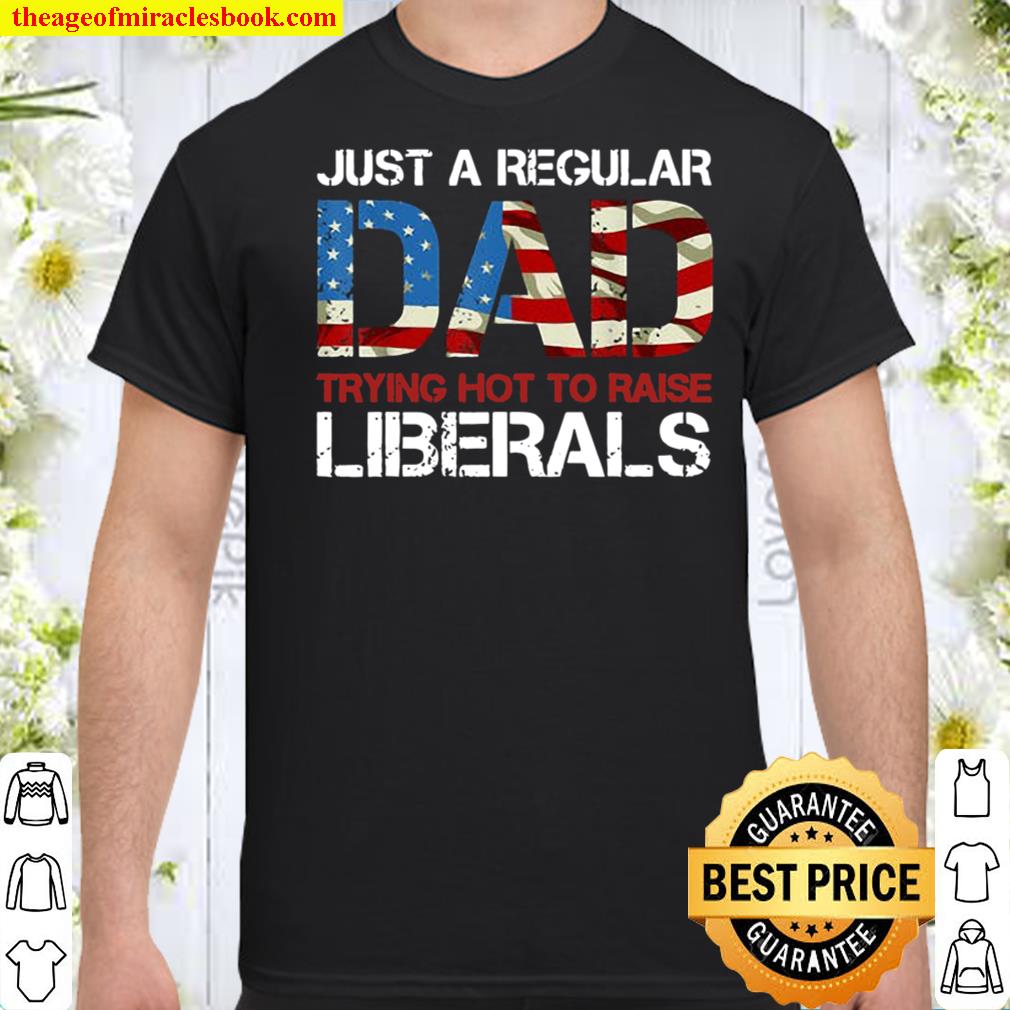 America Flag Just a Regular Dad Trying Not To Raise Liberals 4th of Ju Shirt